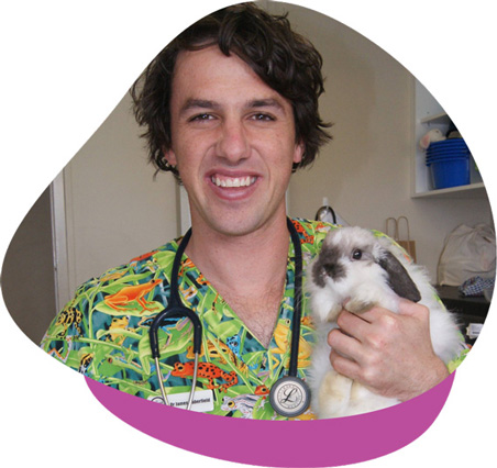 Rabbit Veterinary Services