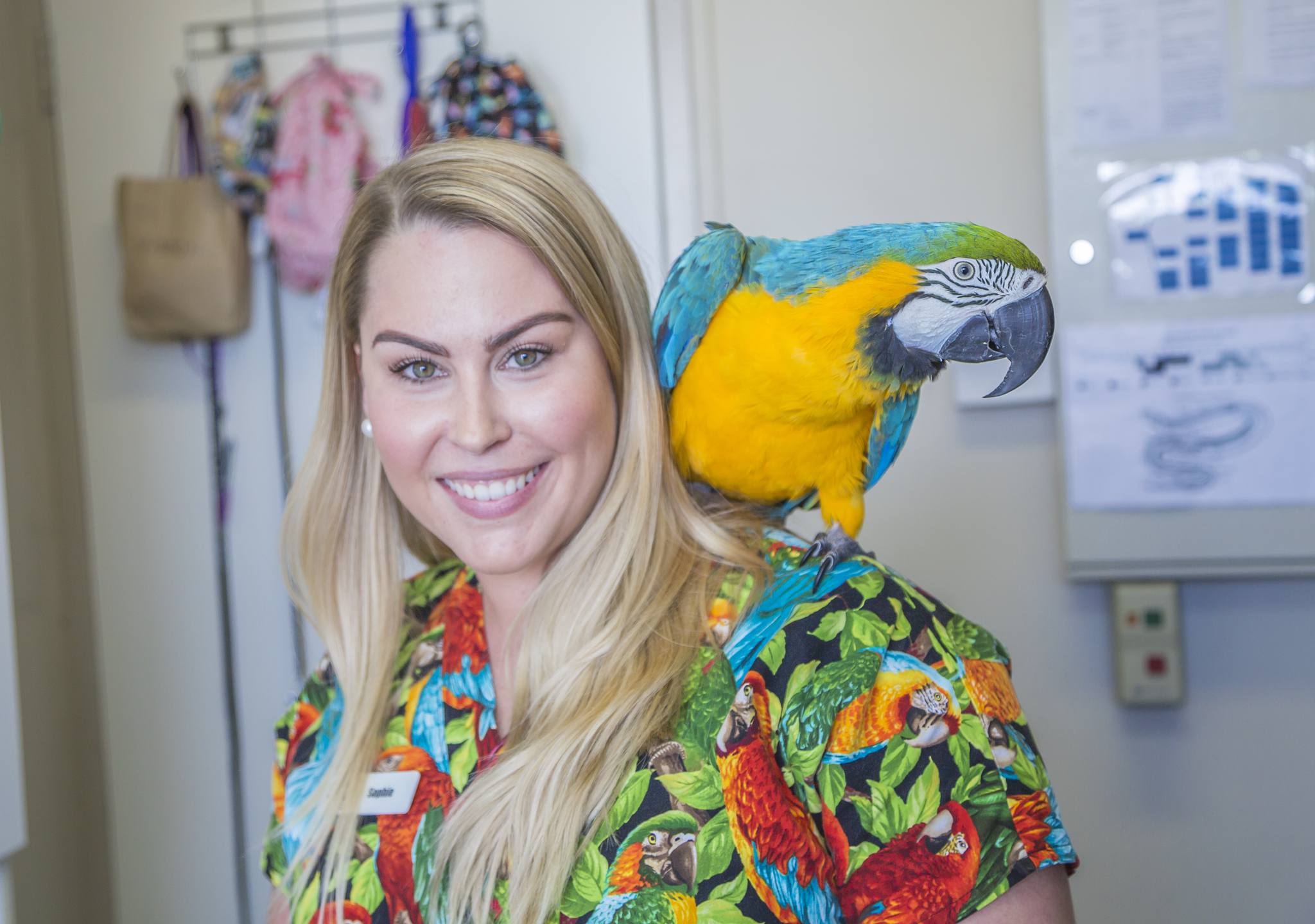 Bird Vet Perth & Melbourne (Chicken, Parrots Etc.) The Unusual Pet Vets