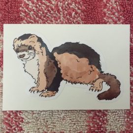 Ferret Sticker | The Unusual Pet Vets