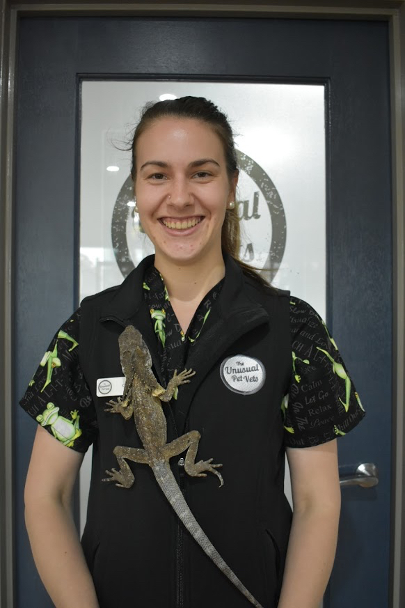 Vet Nurse The Unusual Pet Vets