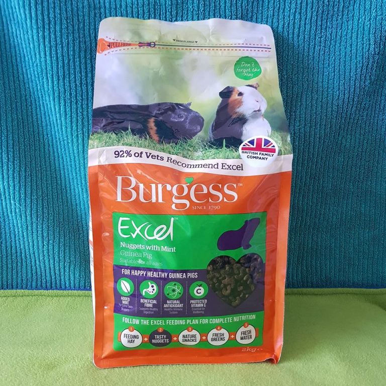 Burgess Excel Adult Guinea Pig Nuggets With Mint 2kg The Unusual Pet Vets
