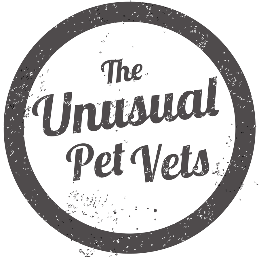 The unusual pet vets logo