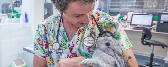 Dr james with rabbit
