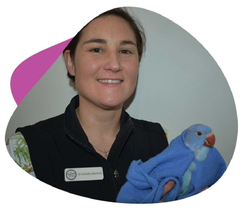 Dr Michelle with one of the stunning Indian Ringneck patients