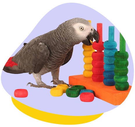 Bird playing wood toy