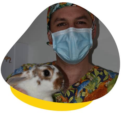 Dr james rabbit