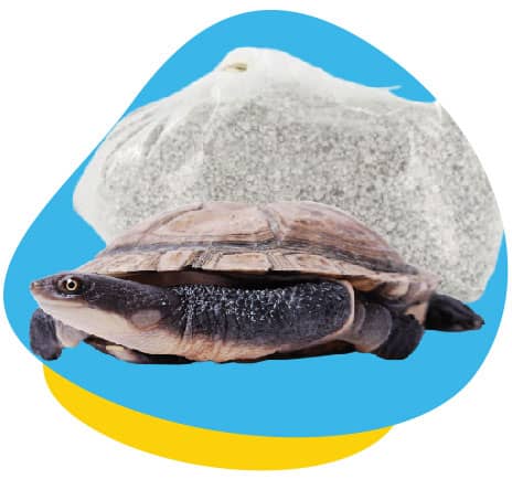 Turtle grit