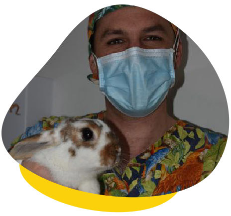 Dr James with rabbit
