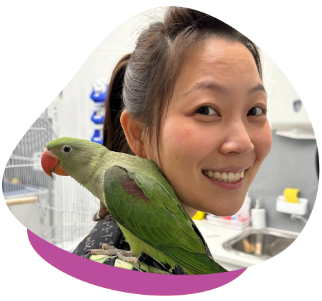 Alexandrine Parrot on Dr Holly Shoulder