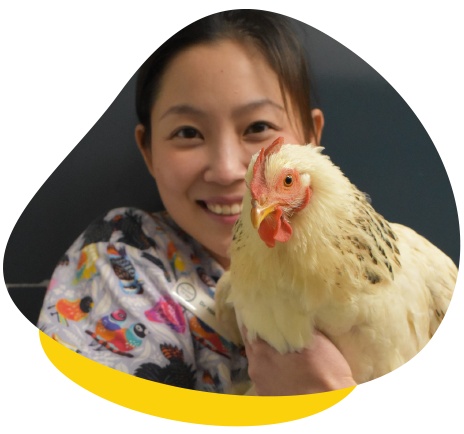Dr holly and chicken