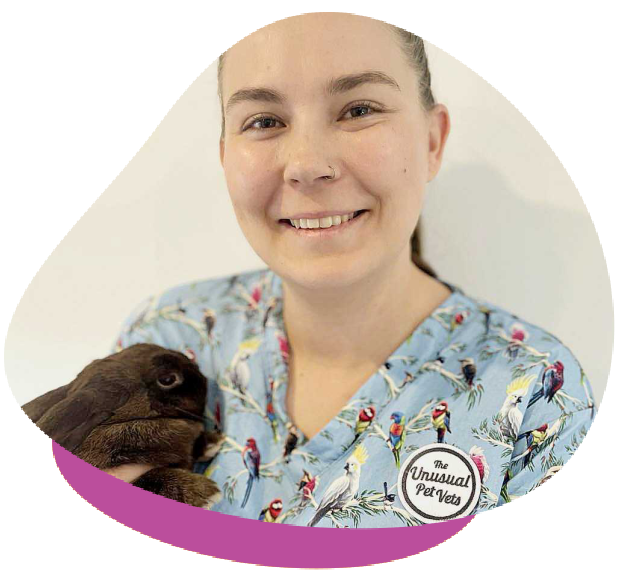 Adelaide Clinic The Unusual Pet Vets