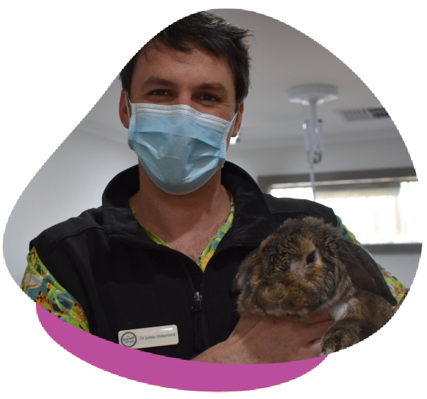 Dr Hames Rabbit