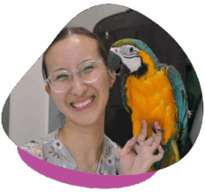 Dr Shelby Chew