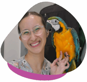 Dr Shelby Chew