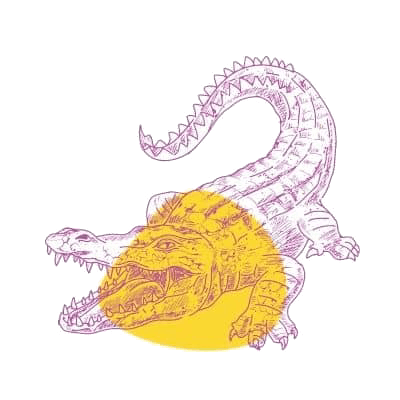Crocodile questionnaire image