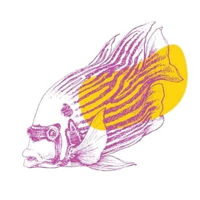 Fish questionnaire image