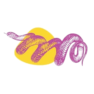 Snake image questionnaire inage